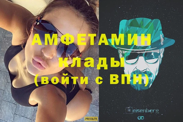 шишки Новозыбков
