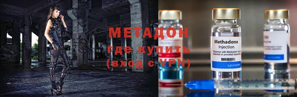 шишки Новозыбков